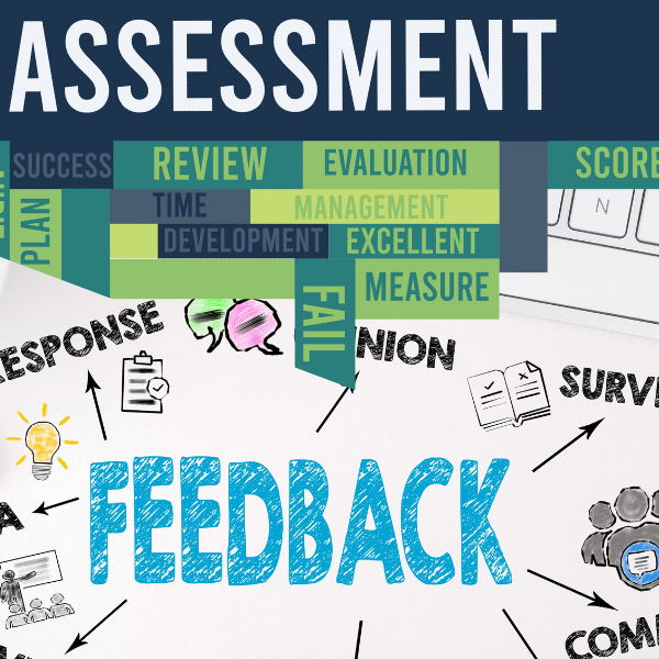 Assessment Feedback